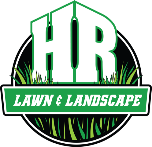 logo icon.